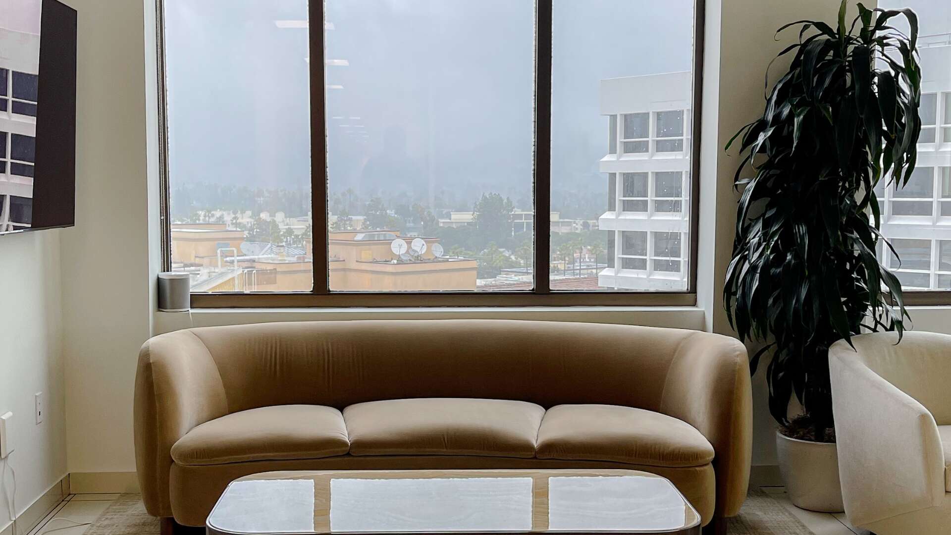 Attorneys working hard